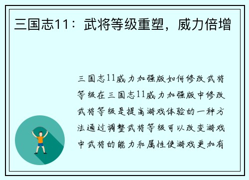 三国志11：武将等级重塑，威力倍增